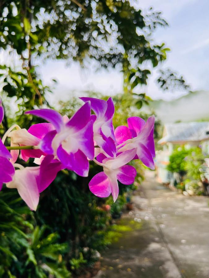 Suriyan Villa Erawan Kanchanaburi สุริยัน วิลล่า เอราวัณ กาญจนบุรี Tha Kradan ภายนอก รูปภาพ